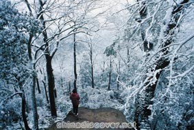 Yuelu Hill after snowfall in Changsha